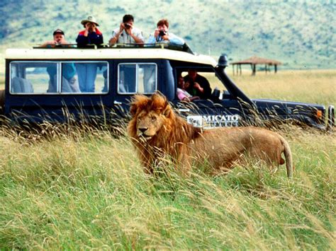 5 Things to Consider Before Embarking on a Safari Vacation