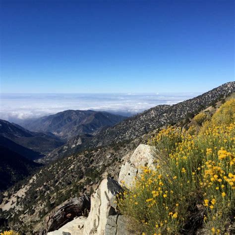 Mount Baldy Hike | Mt. San Antonio Hiking Trail | Best Los Angeles Hikes