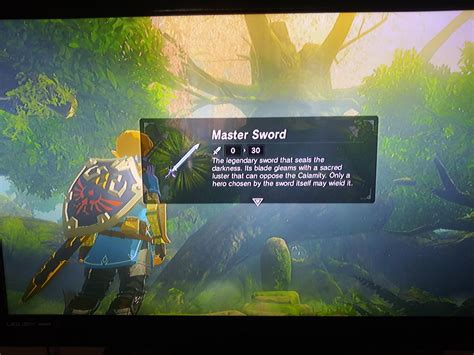 Finally got the Master sword : botw