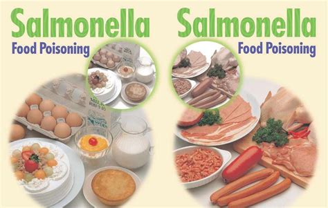 Hot on internet: The symptoms of Salmonella