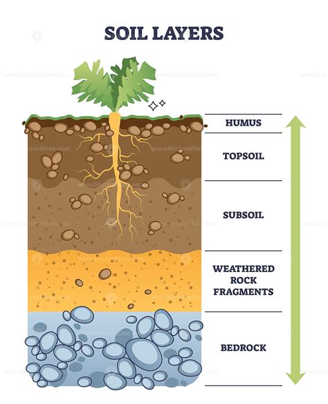 Soil layers with geological ground structure and materials outline ...