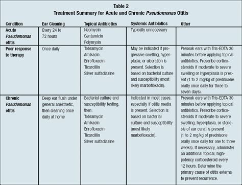 Pseudomonas Aeruginosa Treatment Antibiotics - Carpet Vidalondon