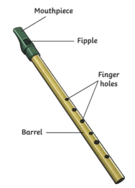 Bagpipes and Bodhrans: Traditional Scottish Instruments