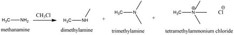 Methylamine: Properties, Synthesis, and Uses - Safrole