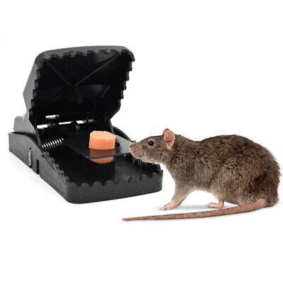 Jaw Lethal Mouse Trap Rodent Rat Killing Snap Catcher Spring Loaded ...