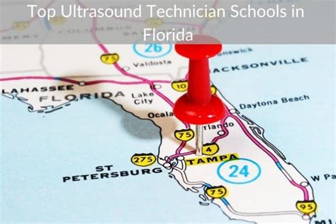 Top Ultrasound Technician Schools in Florida – Best Ultrasound ...