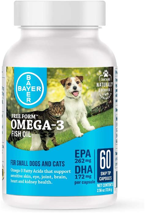 9 Best Fish Oil For Dogs: What You Need to Know Before Buying ...