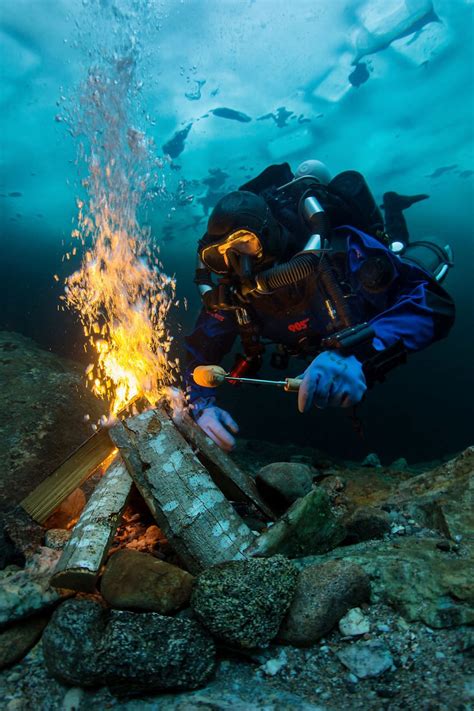 These Winning Photos Of The 2018 Underwater Photographer Of The Year ...