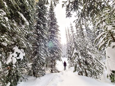 Snowshoeing in Vernon, BC