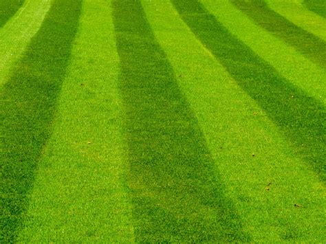 Lawn Pattern Landscaping – Tips For Cutting A Lawn In Patterns