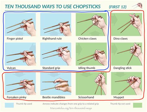 How To Hold Chopsticks : How To Properly Hold Chopsticks Youtube ...