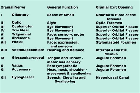 Mnemonic for 12 cranial nerves and their types. | Master Of Medicine