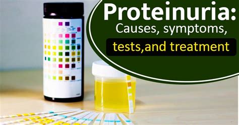 Proteinuria: Causes, symptoms, tests, and treatment