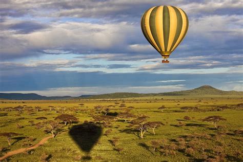 The Serengeti | Balloon Safari