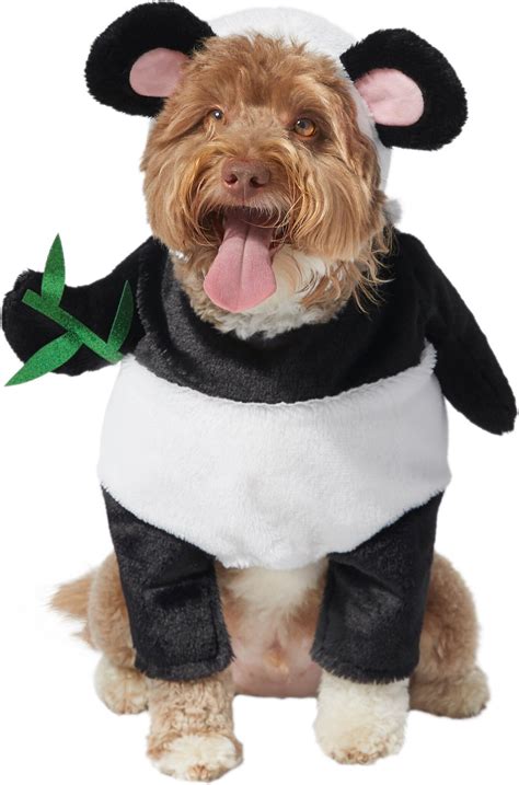 FRISCO Front Walking Panda Dog & Cat Costume, X-Large - Chewy.com