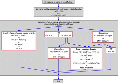 Novel strategies in diastolic heart failure | Heart