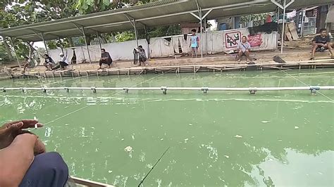 Lomba mancing ikan mas di pinggiran kota tangrang mantul - YouTube