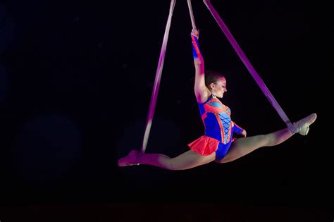 Circus Acrobat Plunges 12 Feet to the Ground in 'Horrific' Accident ...