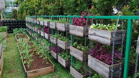 25 Incredible Vegetable Garden Ideas | Trees.com