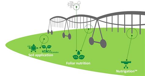 center pivot irrigation diagram - Rosalva Reddick