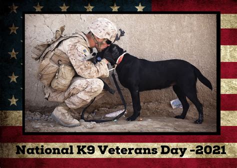 Honor Man’s Best Friend on National K9 Veterans Day - Military Connection