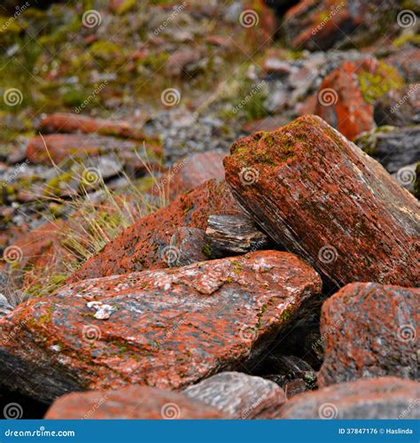 Red rocks stock photo. Image of rocks, nature, landscape - 37847176