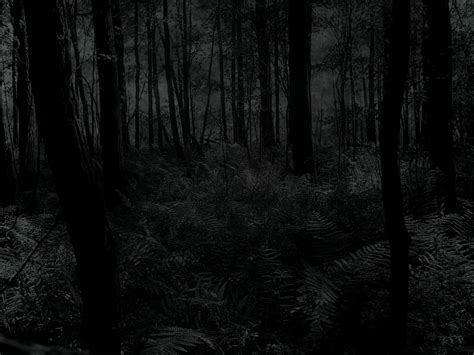 Dark Scary Forest Wallpaper - WallpaperSafari