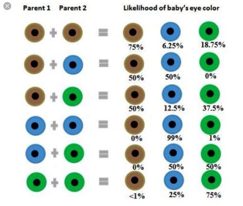 How To Choose Your Babys Eye Color | Eye color chart, Eye color, Color eyes