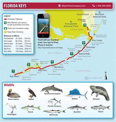 Map of Florida Keys and Key West :: Miami Tour Company