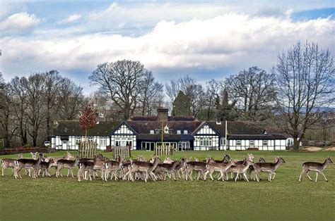 Knole Park Golf Club - Your Beautiful Day