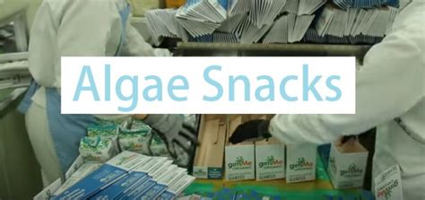 Best Algae Snacks – Eat Algae