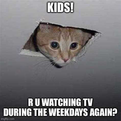 Kids Watch TV During The Weekdays - Imgflip