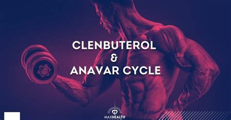 Clenbuterol and Anavar Cycle (results, man & female) – Max Health Living