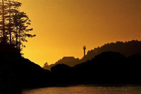 View of Duffin cove from B&B - Picture of The Tides Inn on Duffin Cove ...