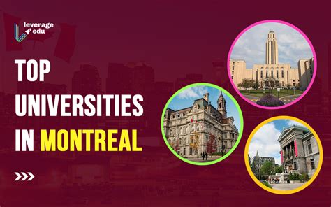 Universities in Montreal - Top Education News Feed in Nigeria Today