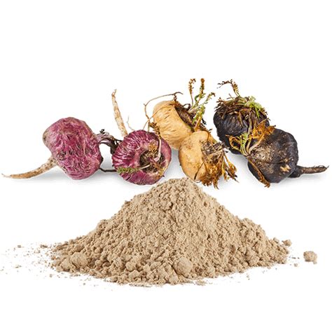 Maca Powder – Agritrade