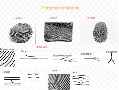 Inside India #25: The Indians who invented fingerprint classification ...