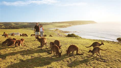 Travel to Australia | VISIT KANGAROO ISLAND