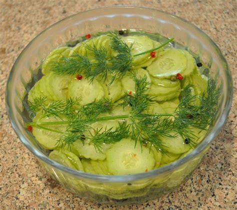 Pickled Armenian Cucumbers with Fresh Dill Recipe, Whats Cooking America