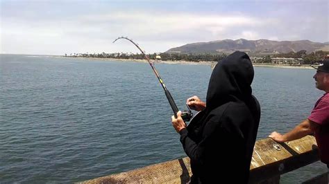 batray - ventura pier fishing - YouTube