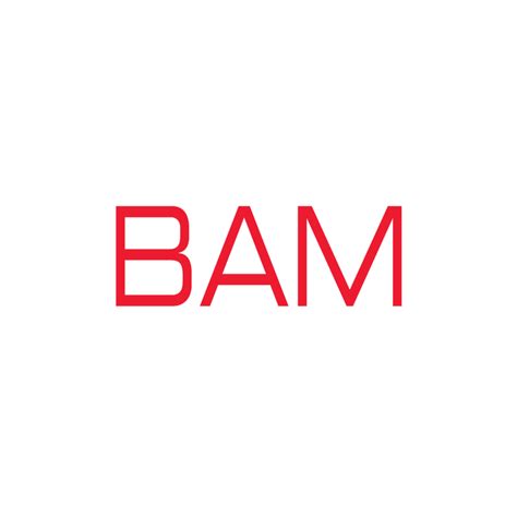 BAM logo - AI FUND