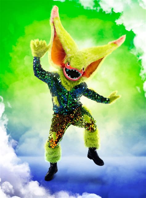 'The Masked Singer' Season 7 Costumes: See All the New Characters