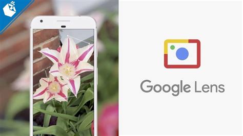 Google Lens: Understand What This App Is And How It Works - GoHow.co