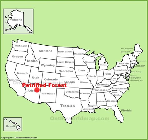 Petrified Forest location on the U.S. Map