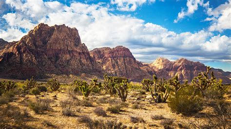 Red Rock Canyon | Red Rock Canyon National Conservation Area