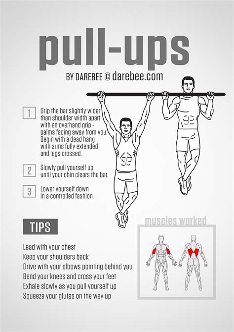 What Muscle Groups Do Pull Ups Work - Photos Idea