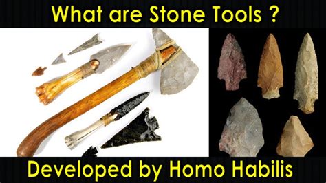 What are Stone Tools | Stone Tools | Homo Habilis | Choppers ...