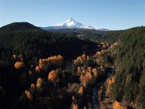 7 Pacific Northwest Fall Festivals You Won’t Want to Miss this Year ...