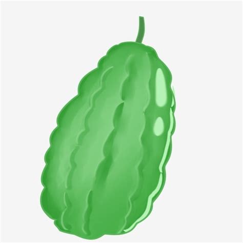 Bitter Gourd Clipart Transparent Background, Cartoon Bitter Gourd ...