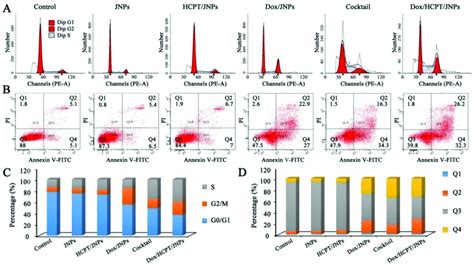 Flow cytometry analysis for A) the cell cycle distribution and B ...